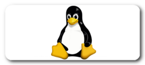 Image of Linux Penguin